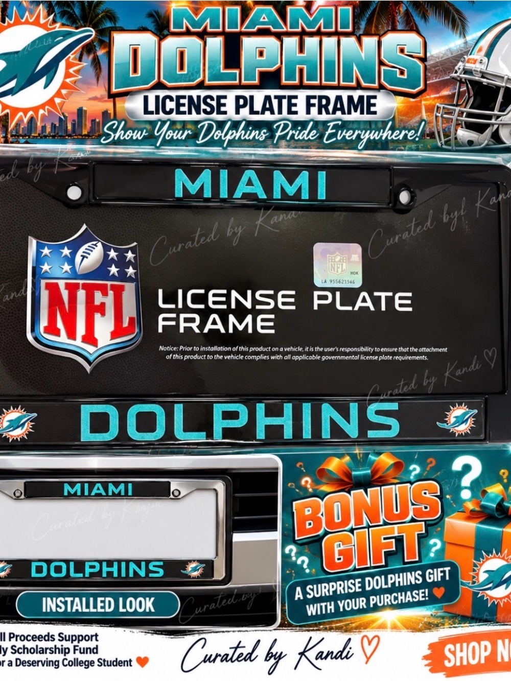 MIAMI DOLPHINS License Plate Frame
